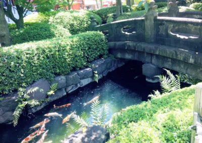 Pond in Asakusa